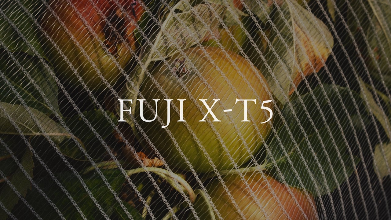 Switching from Sony to Fuji? // Fuji X-T5 First Impressions