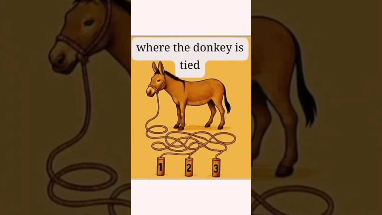 where is the donkey tied #reel #memes #riddles #quiz