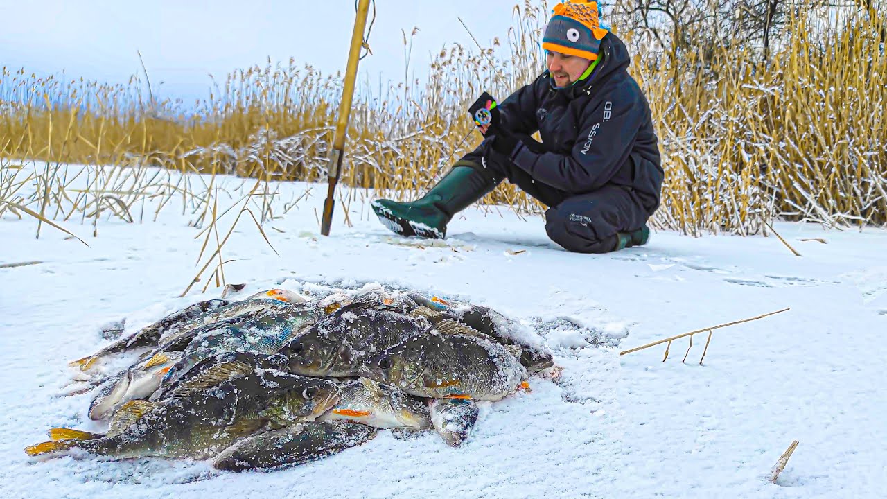 ❄️НА ЩО ЛОВИТИ, 🐟 коли окунь Є але НЕ КЛЮЄ? Зимова риболовля на балансир і безмотилки.