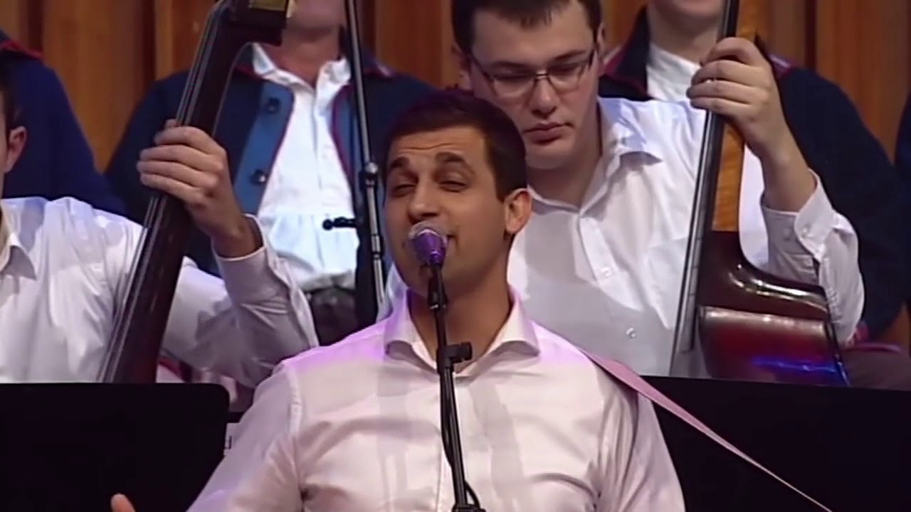 Ne daj, Slavonijo (Slavonijo &scaron;to si kome kriva) by Robert Nikolić Maestro