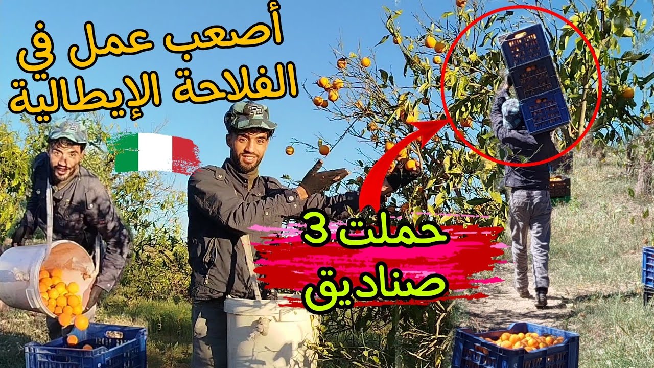 الأعمال الشاقة في جنوب إيطاليا