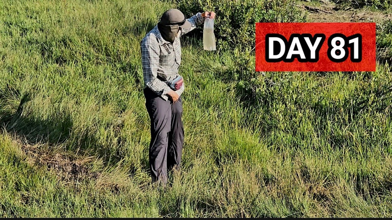 Day 81: Don't Drink the Yellow Water / CDT Thru-hike 2024