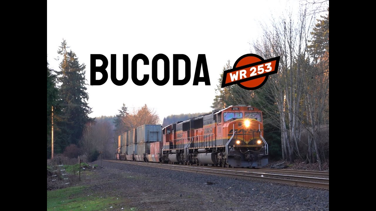 The BNSF Tracks in Bucoda