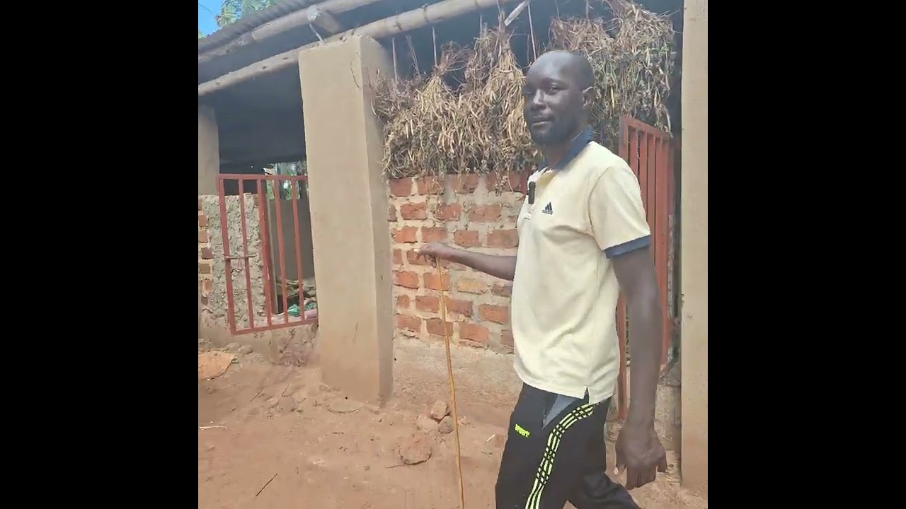 Say No To Idle Land; A visit at Mr Murungi Brian's farm