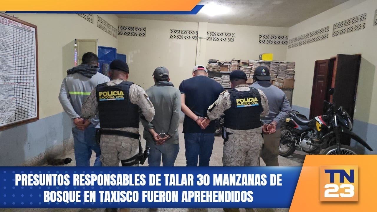Presuntos responsables de talar 30 manzanas de bosque en Taxisco fueron aprehendidos