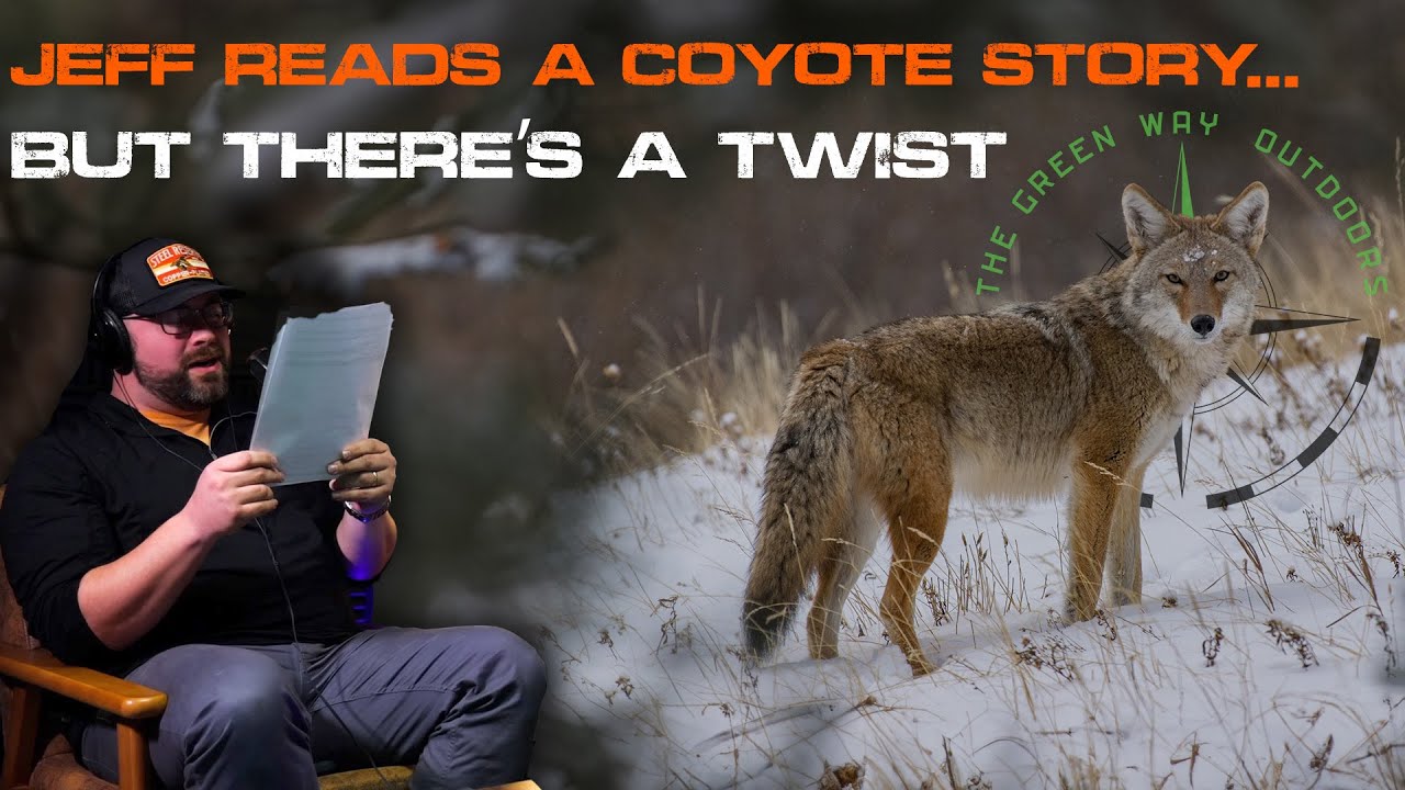 When Coyotes Attack! Terrifying Coyote Encounter Read By Jeff Hutchinson - Green Way Podcast Clips