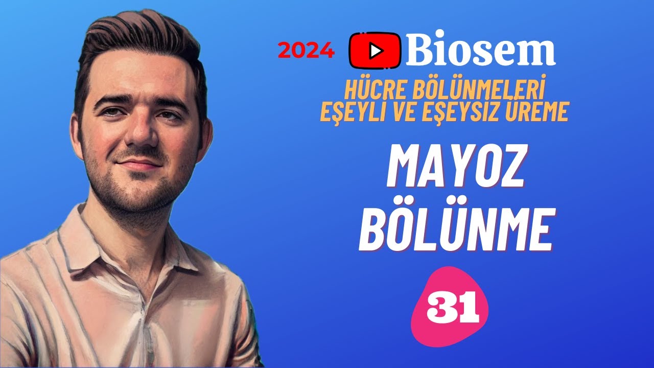 Mayoz Soru Çözümü | yks2024 | Biyoloji Soru Çözümü