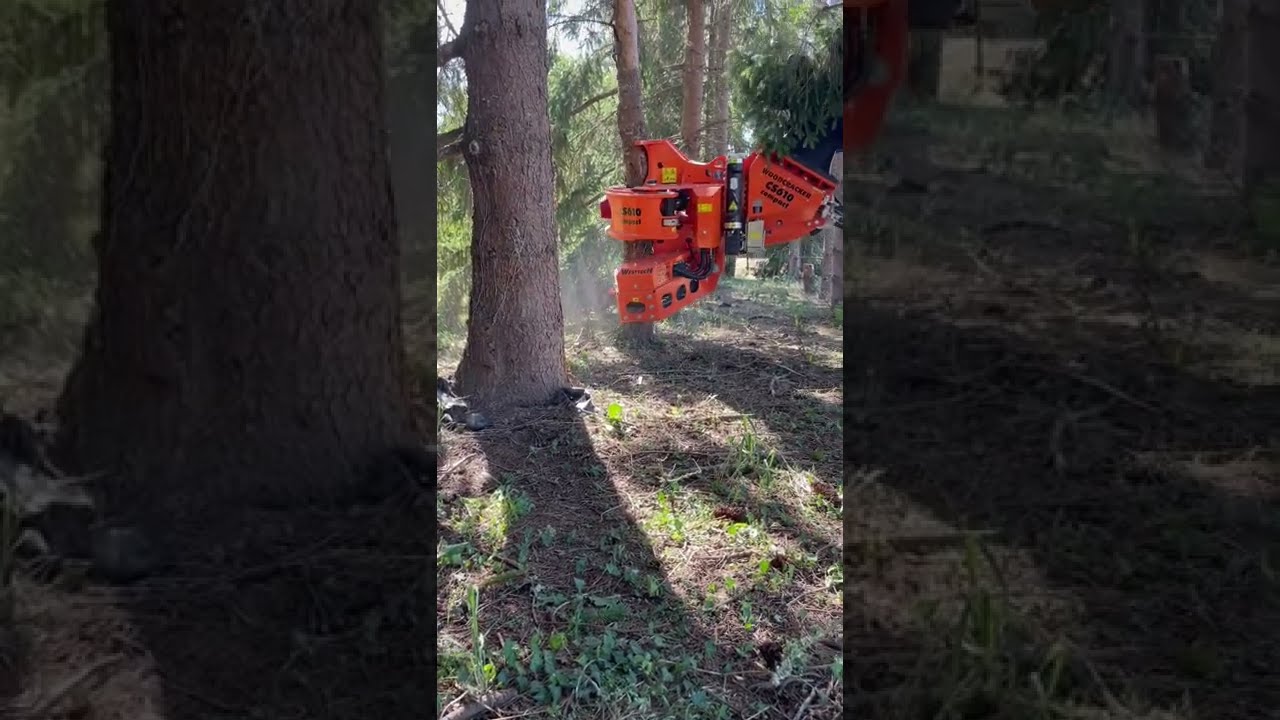 Grappin tronçonneuse, coupe arbre, abattage, démontage, sécurité.