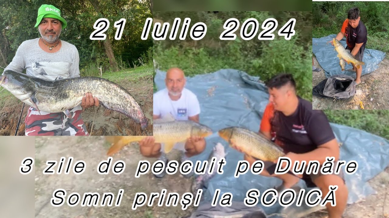 PESCUIT pe DUNARE la CRAP si SOMN ! Momeala perfecta pentru somnii mofturoși