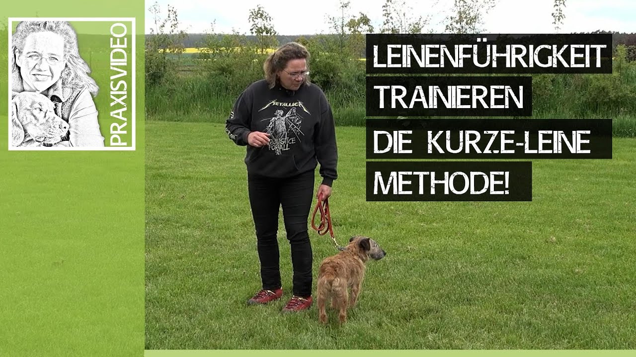 Leinenführigkeit beim Hund trainieren ➡️ Die kurze Leine Methode! ➡️ Praxisvideo 🐕🐩🐶✔️