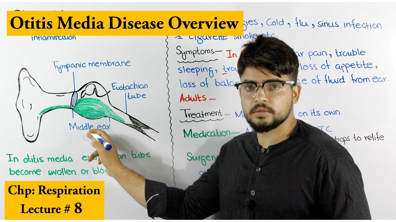 Otitis Media | A respiratory Disorder | Causes, symptoms and treatment