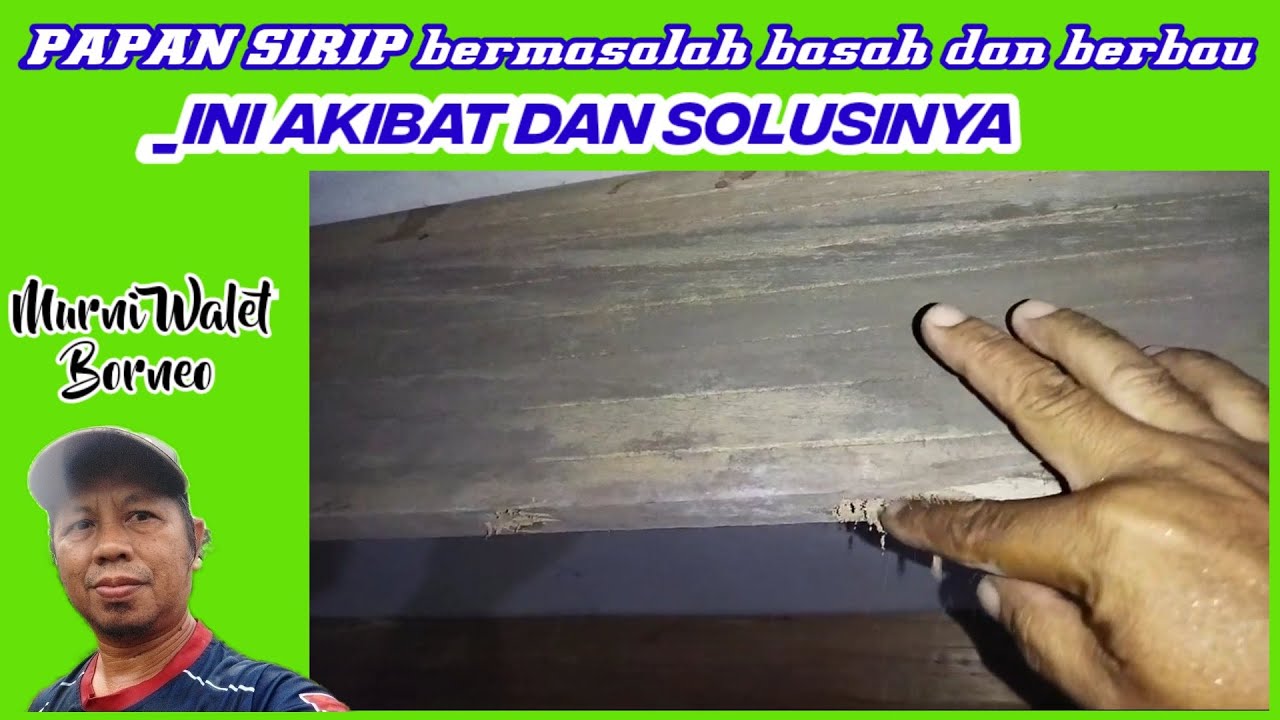 PAPAN SIRIP RBW BERMASALAH, BASAH DAN BERBAU_akibat dan solusinya