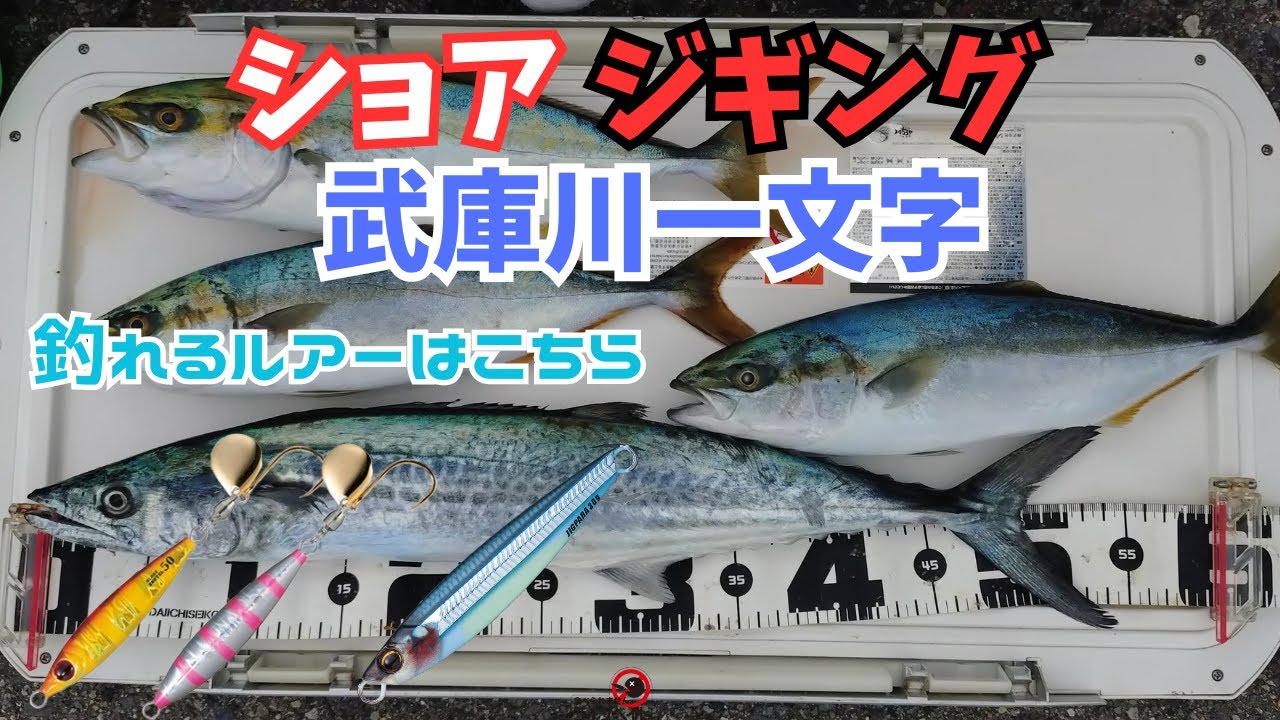 ショアジギング　武庫川一文字へリベンジに行ってきました！！　　#ライトショアジギング　#青物