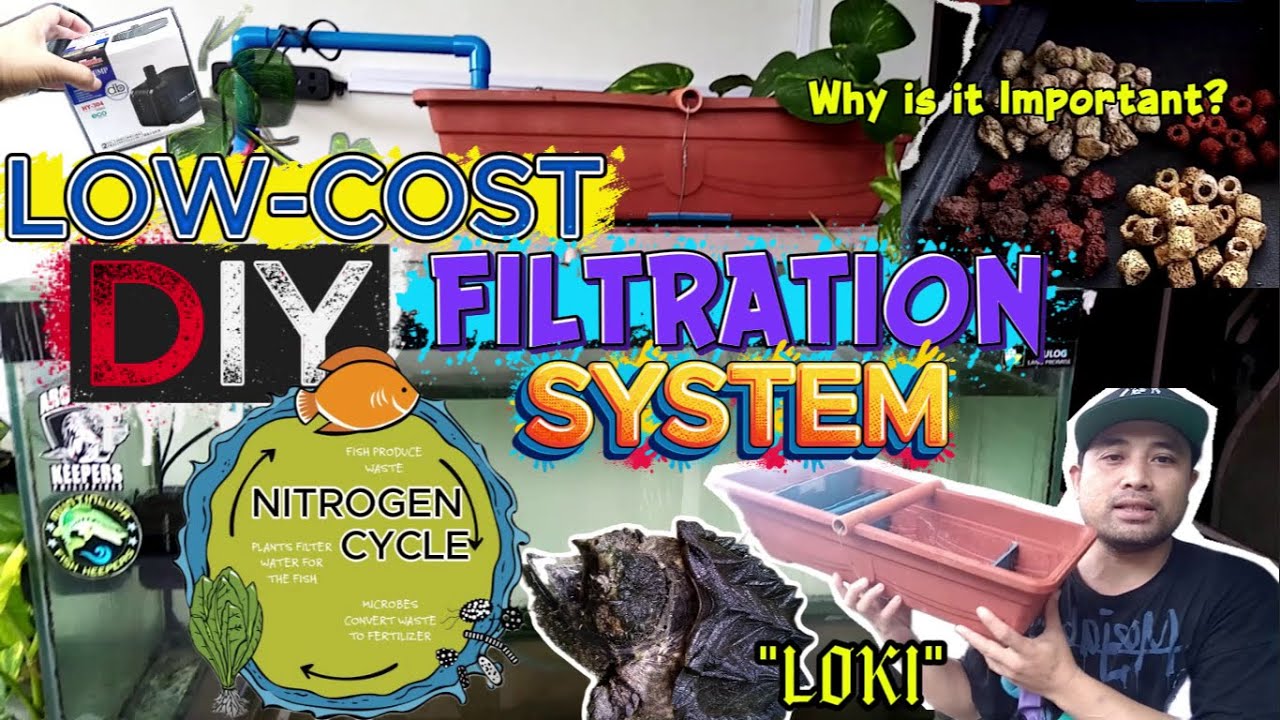 DIY Low-Cost Aquarium Filtration for Aquatic Pets! CLEAN WATER,HAPPY PETS, Nitrogen Cycle Explained!