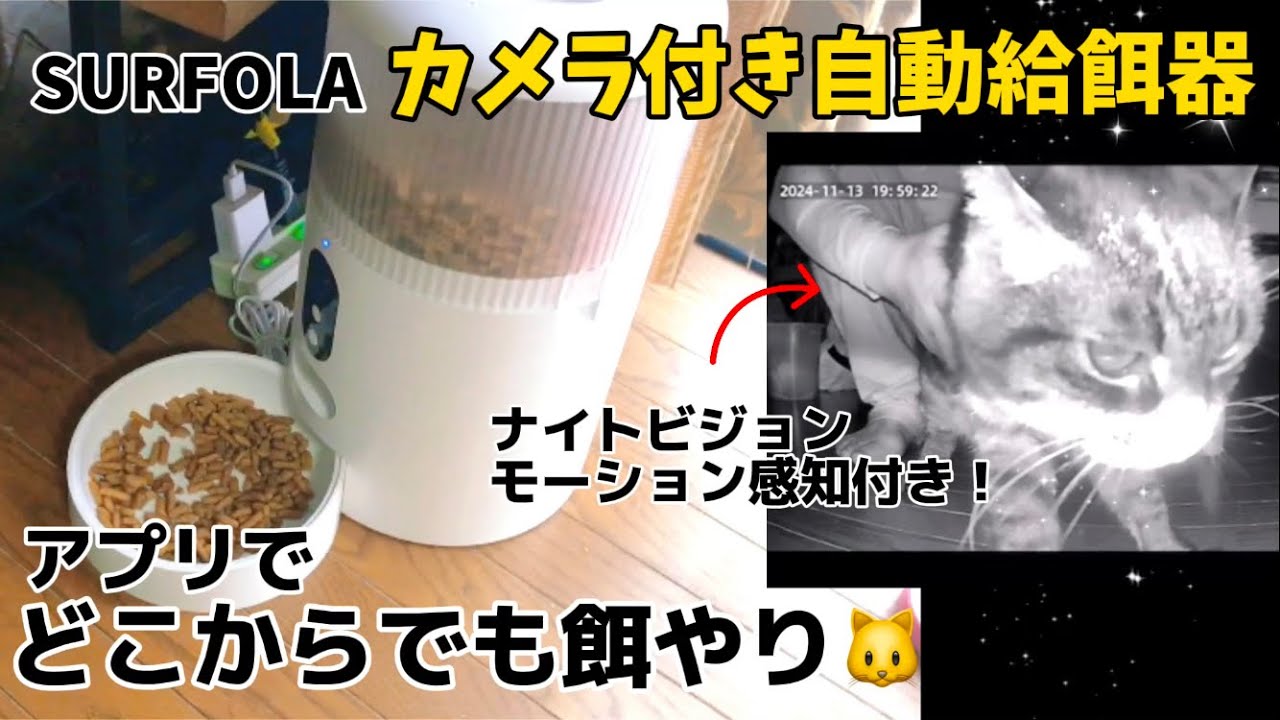 【見守りカメラ付き】自動給餌器を導入！外出先でも安心🐱✨