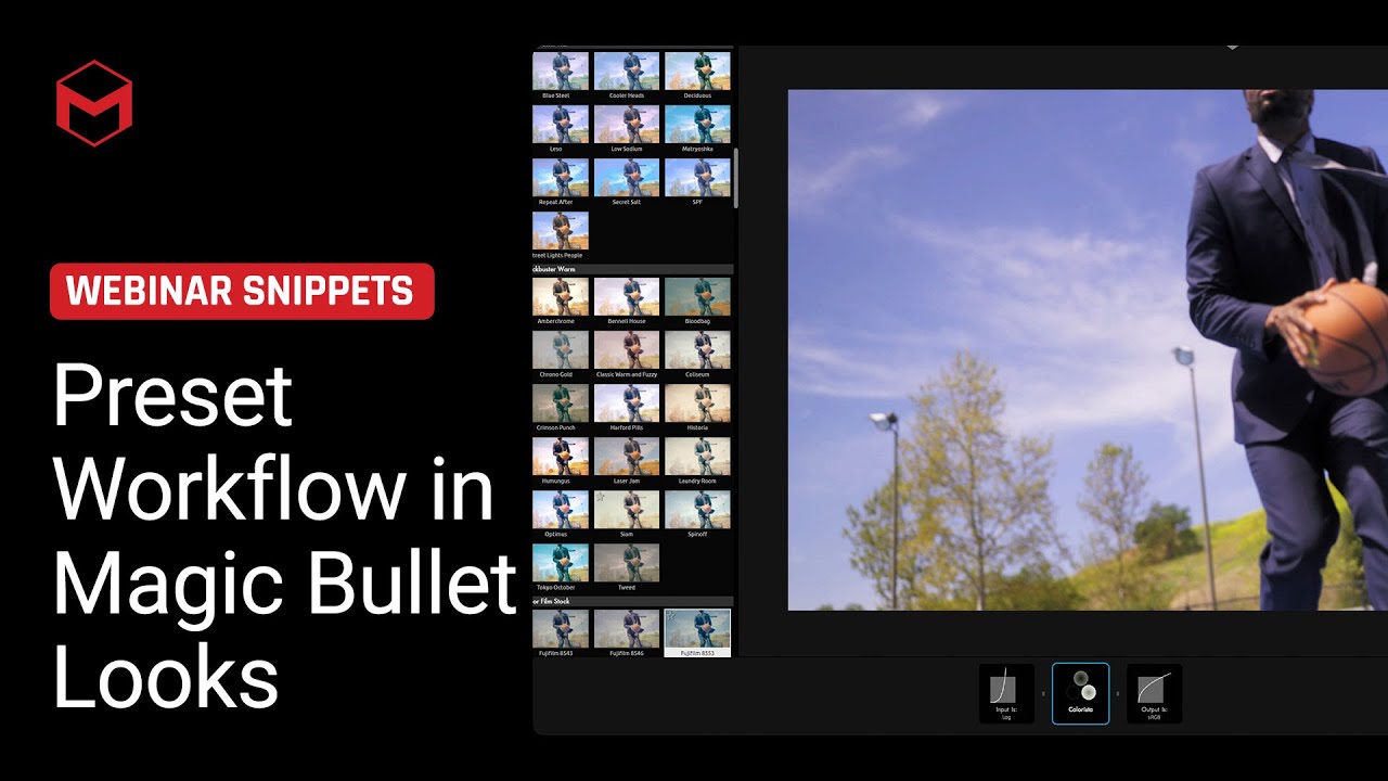 Preset Workflow in Magic Bullet Looks