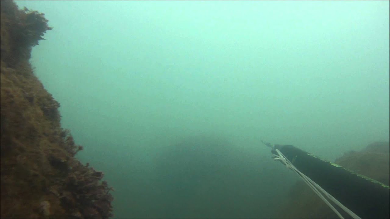 Pesca Sub 