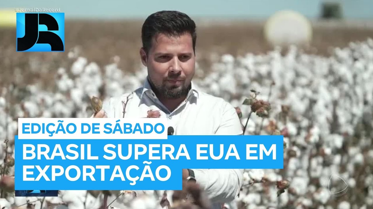 Brasil ultrapassa os EUA e se torna o maior exportador de algodão do mundo