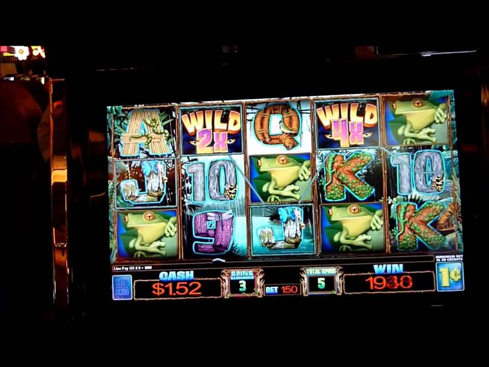 Wild Rainforest Slot Machine Bonus Win (queenslots)