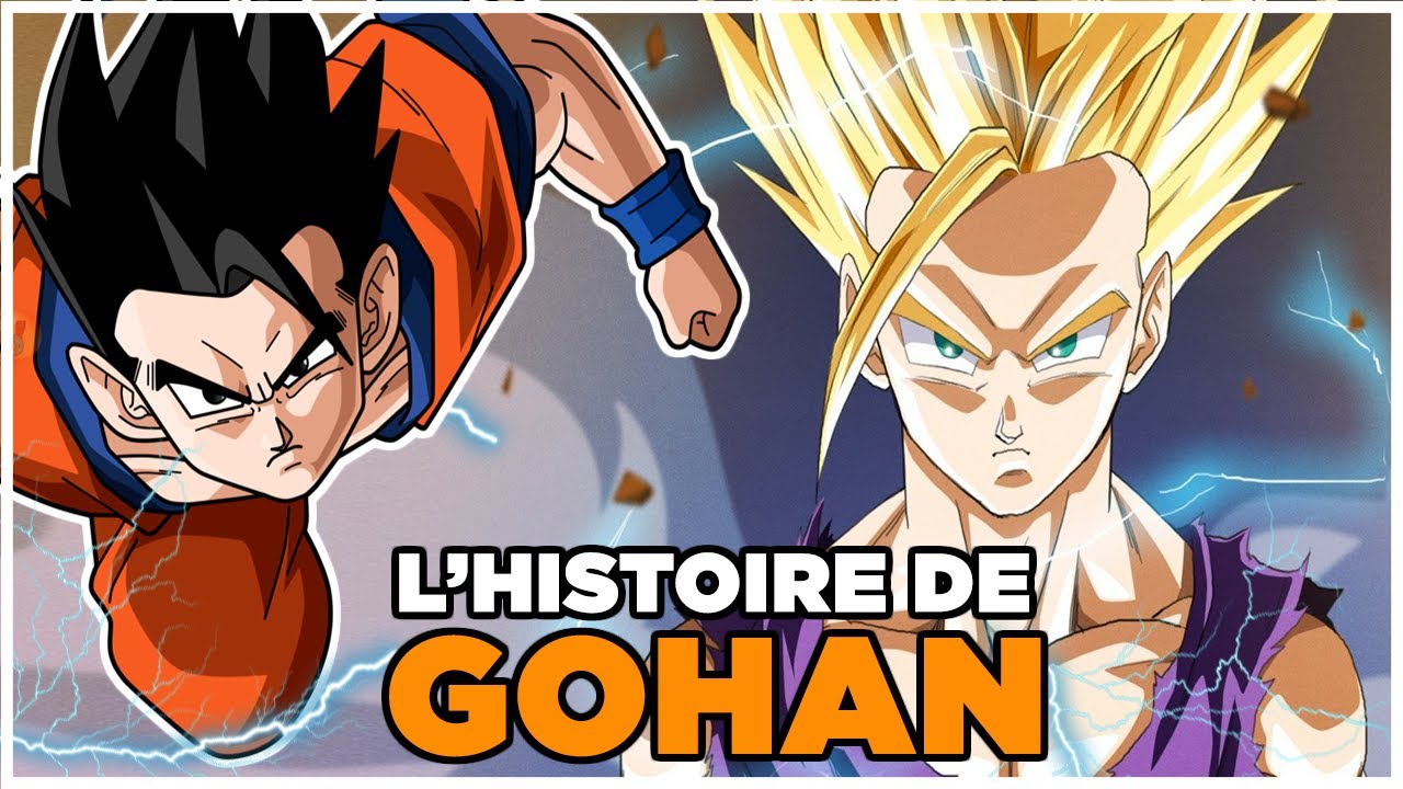 L'histoire de Son Gohan (Dragon Ball)