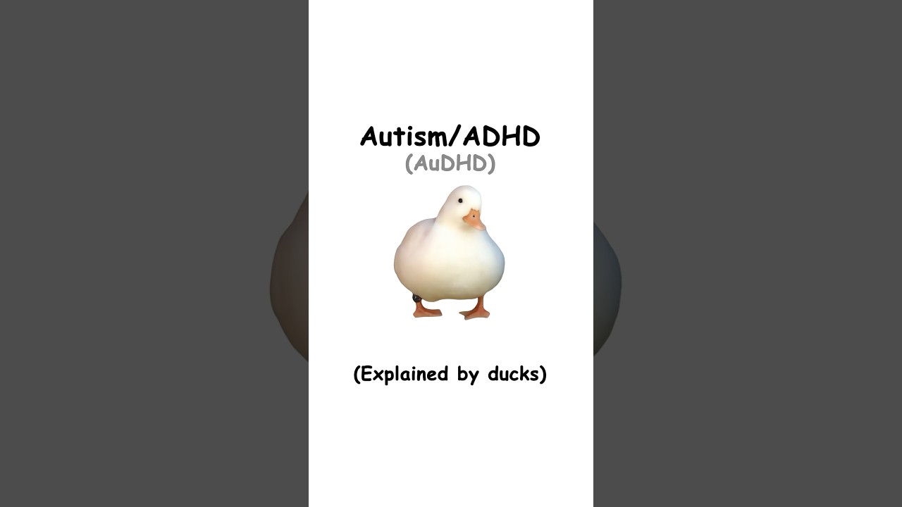 AuDHD (объяснение от уток)