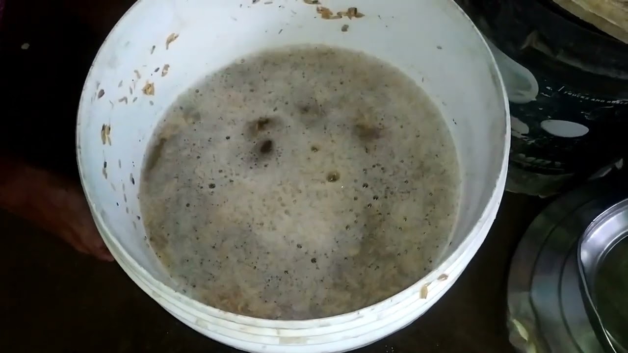 घरातल्या घरात कोंबड्यांसाठी बनवा घरच्ं feed