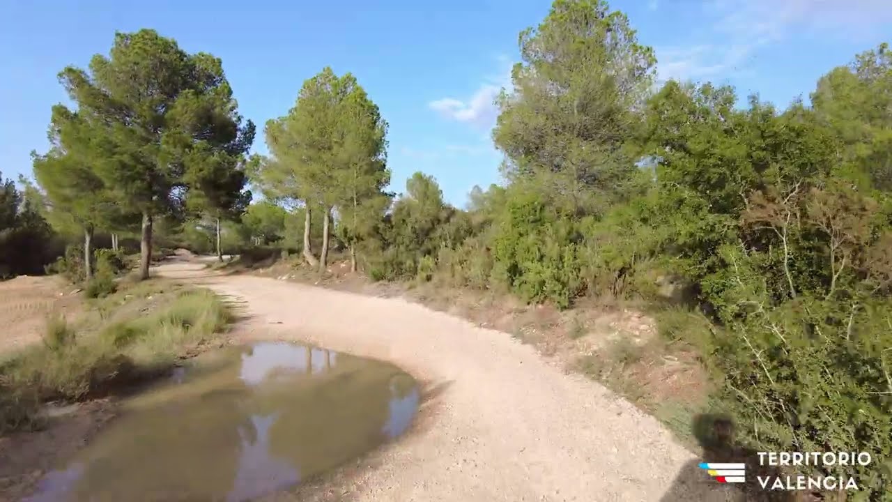 RUTA MTB POR CAMPO ARCÍS - TerritorioValencia.es