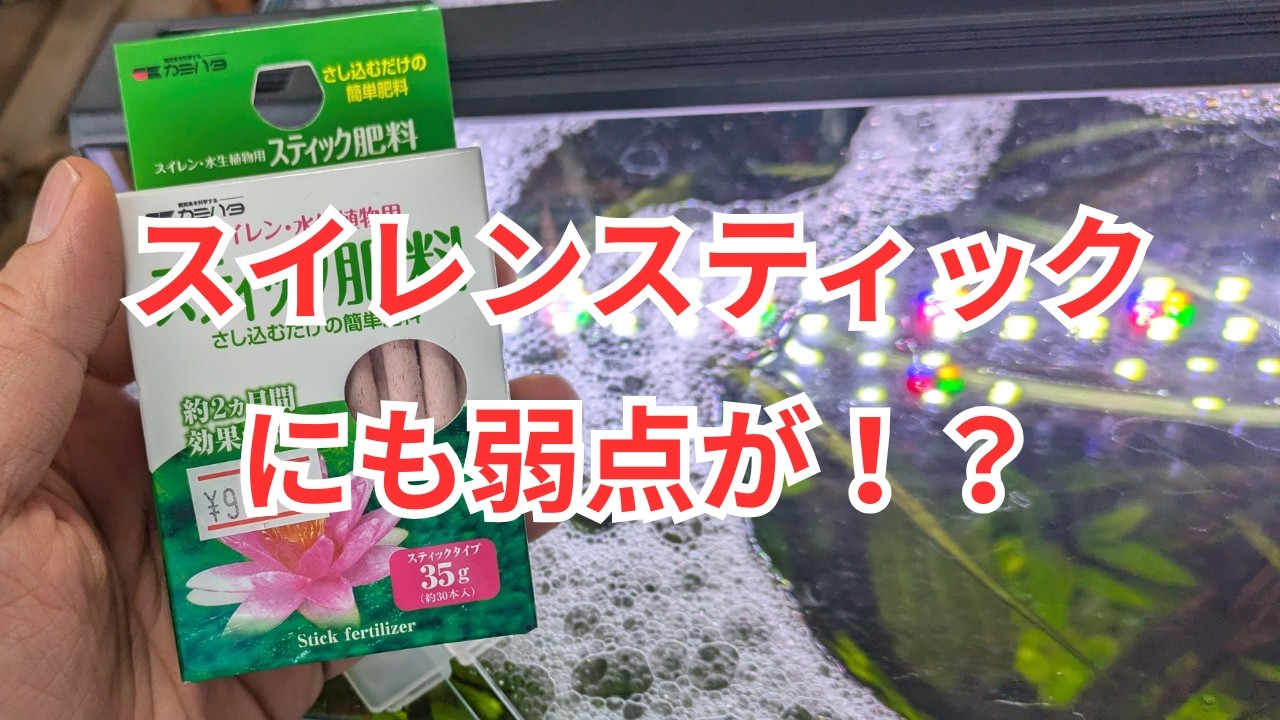 おすすめの固形肥料「カミハタ スイレン・水生植物用 スティック肥料」にも弱点が！？