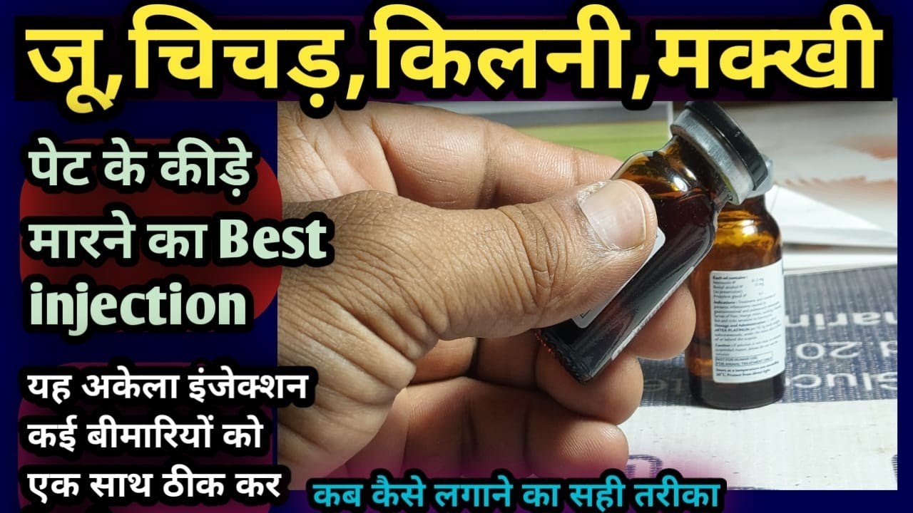 पशुओं की जू,चीचड़,मक्खी,किलनी||पेट के कीड़े मारने का Best Injection||साथ में अन्य बीमारियों को रोके
