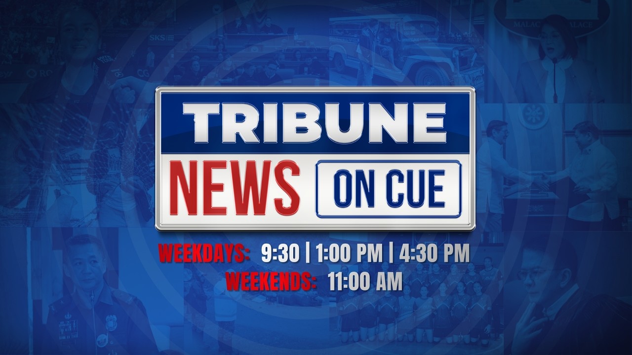 TRIBUNE NEWS ON CUE | 15 АВГУСТА 2026 СУББОТА | 11:00