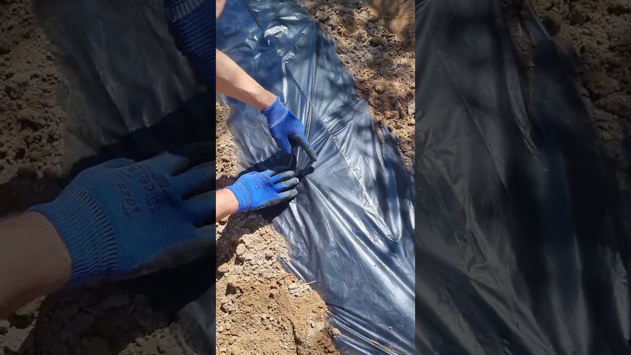 Sebzelere malç naylonu çekme işlemi.