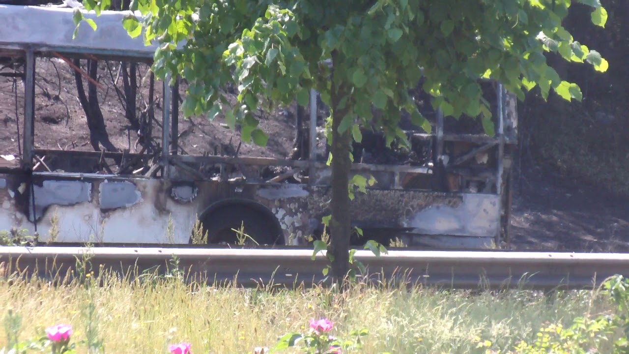 Roller Freunde Schleswig - Holstein