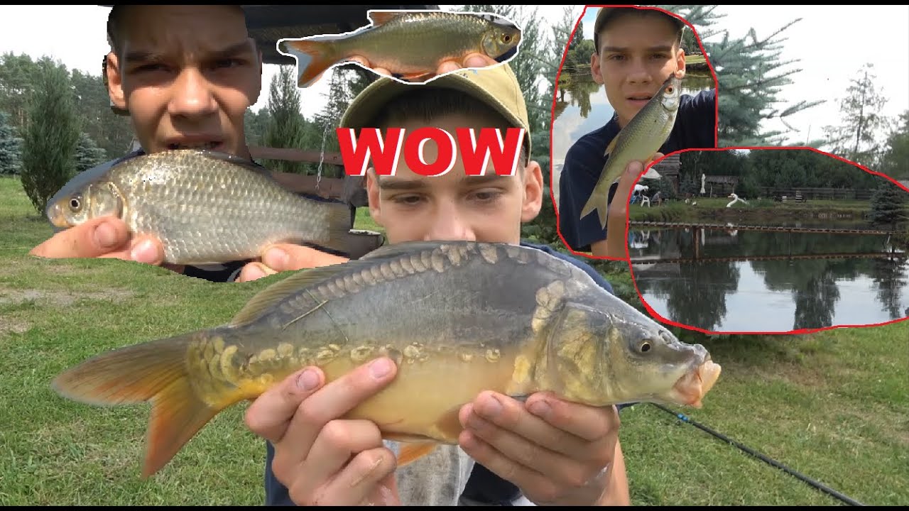 FAJNE RYBY na FAJNYM STAWIE !