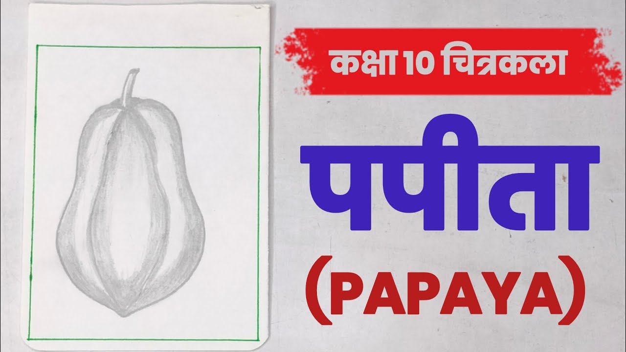 How to draw Papaya easily step by step| Papaya easy pencil drawing 