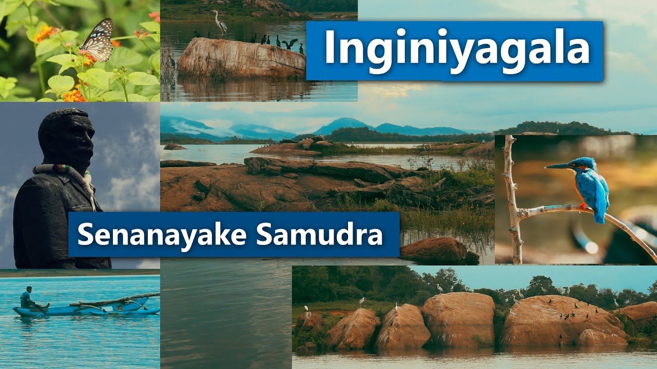 Inginiyagala | Senanayake Samudra | Sri Lanka