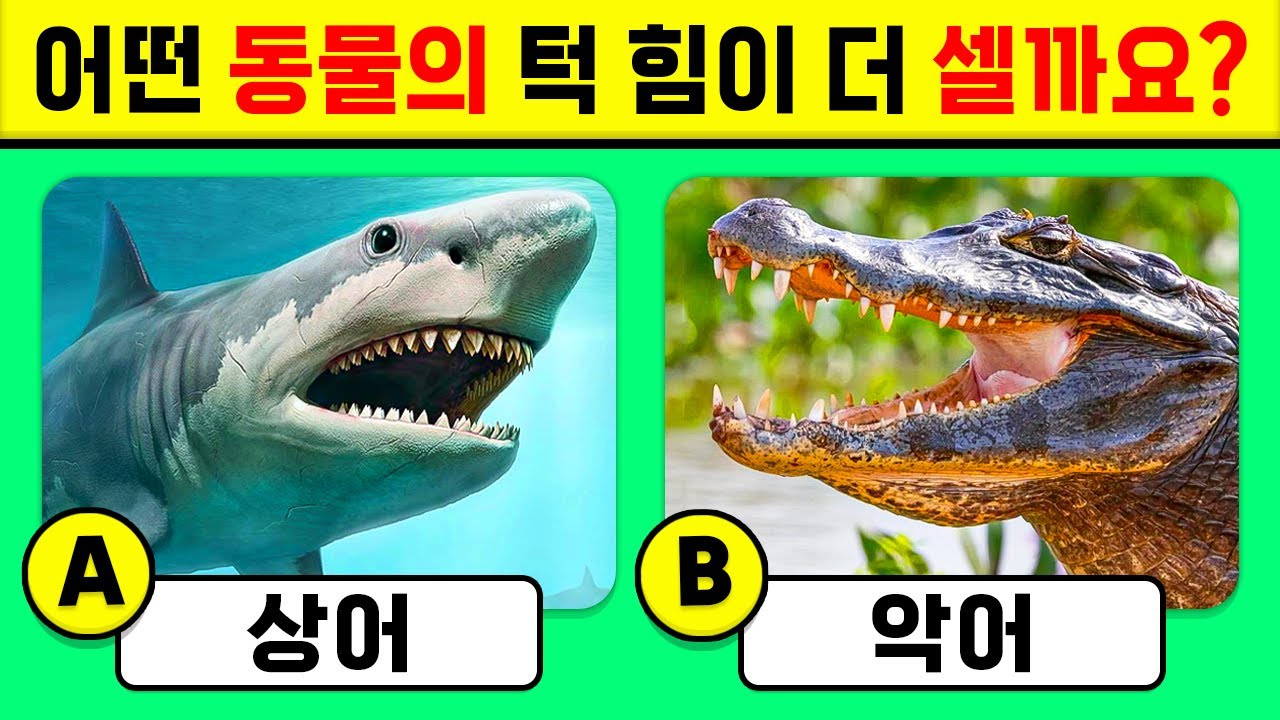 🦄 동물 상식 퀴즈! 🦁🦓✅ 얼마나 잘 알고 있나요?