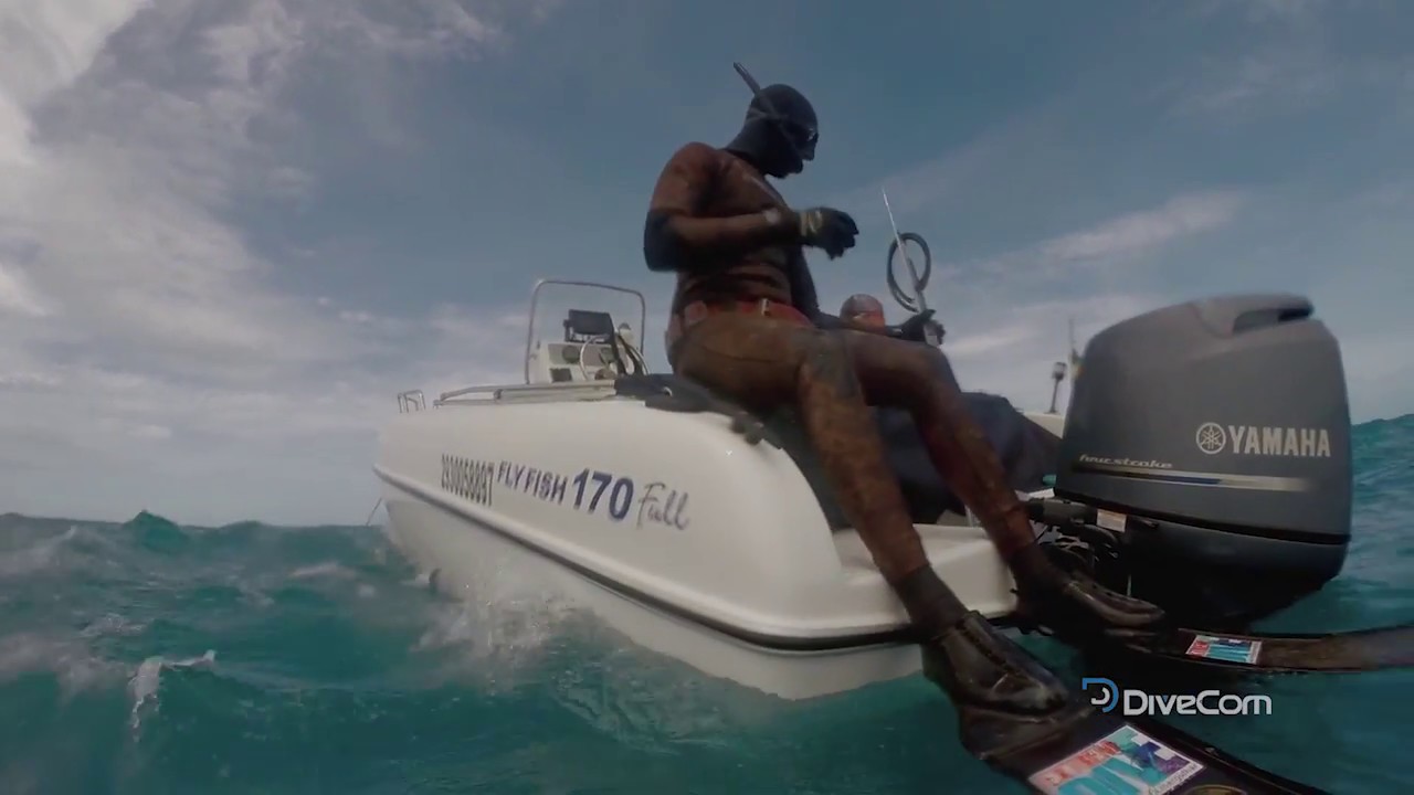 testes com ARBALETE SHARK divecom | PESCA SUB