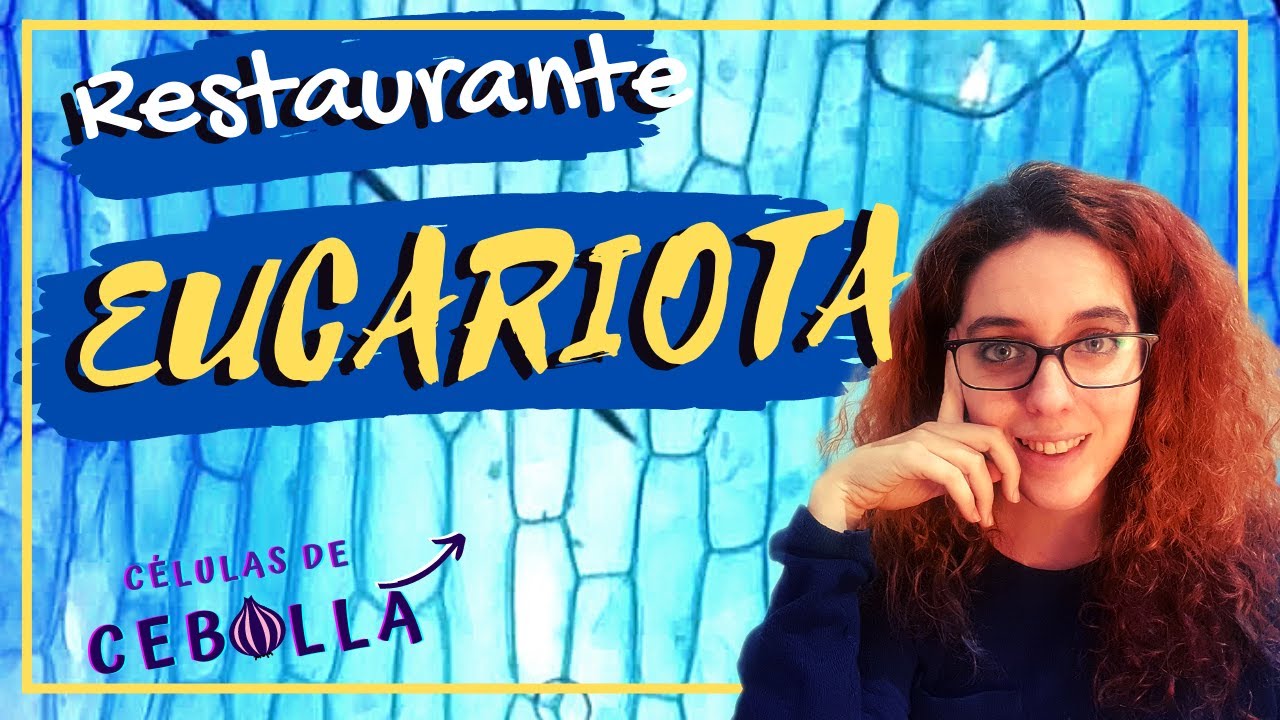 Si La Célula EUCARIOTA Fuera Un Restaurante DE LUJO
