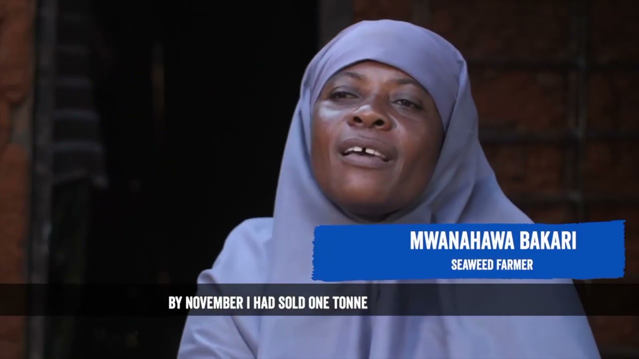 Coastal Livelihoods  in Kwale County.
