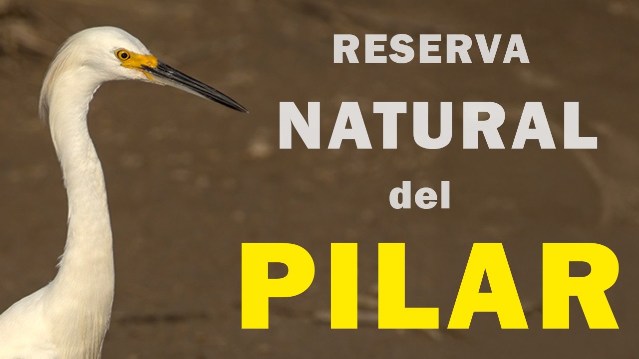Visita a la Reserva Natural de Pilar