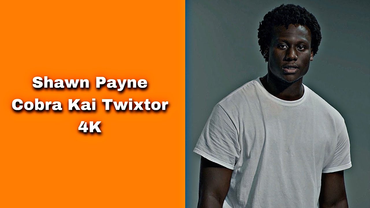 Shawn Payne (Cobra Kai) Twixtor 4K