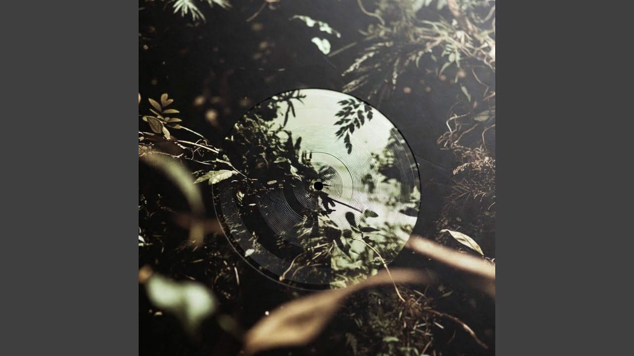 Ivy Trails
