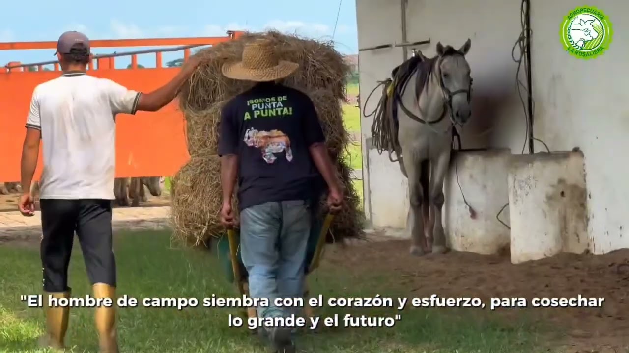 ¡Feliz Día del Ganadero! 🐄🤠