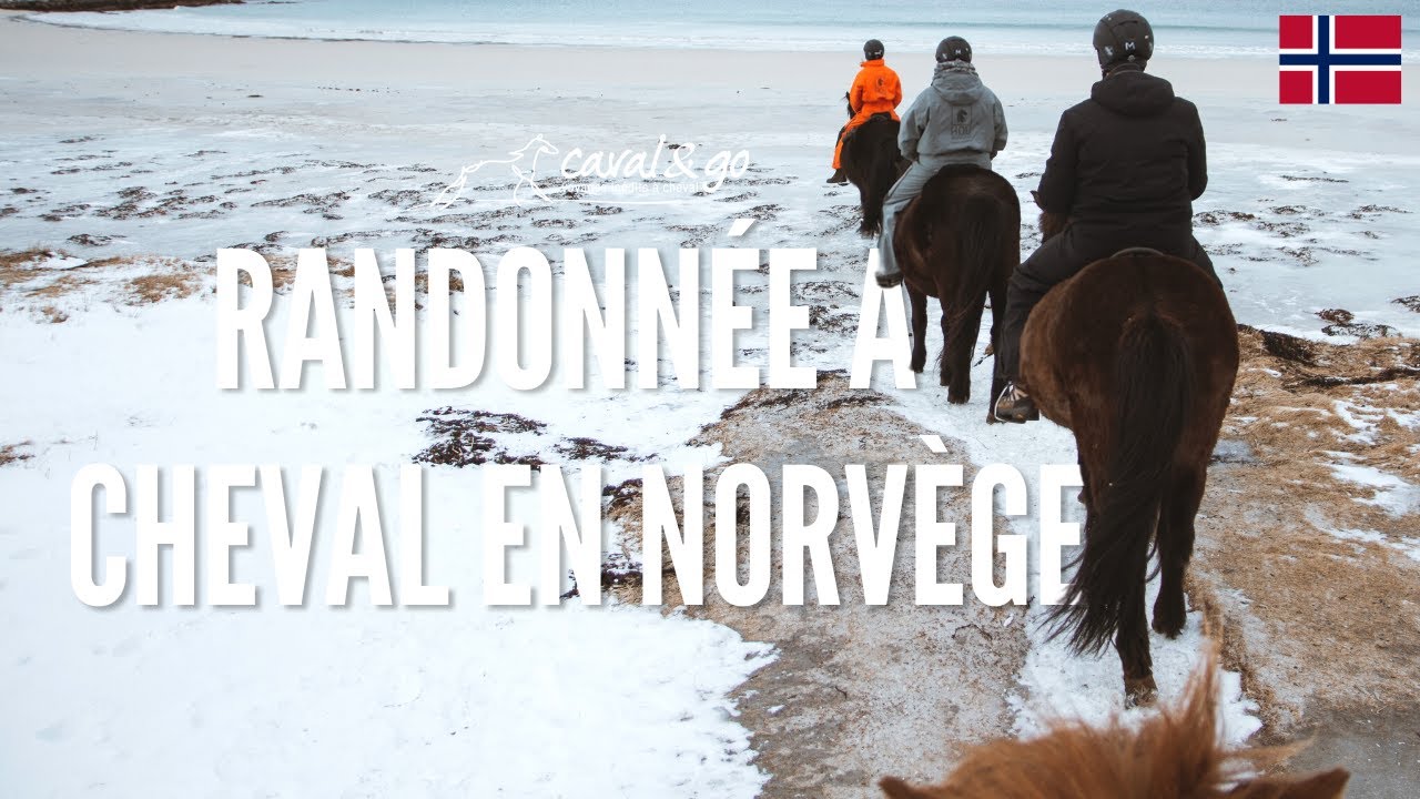 ✈🌎 [NORVÈGE] Randonnée à cheval dans les îles Lofoten en Norvège