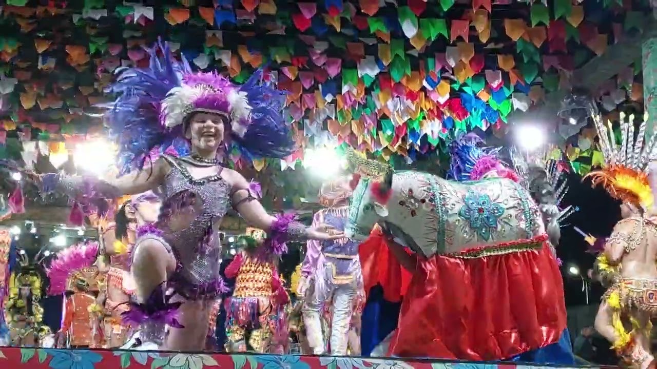 Boi Pirilampo Inconfundível, vale o Show. 