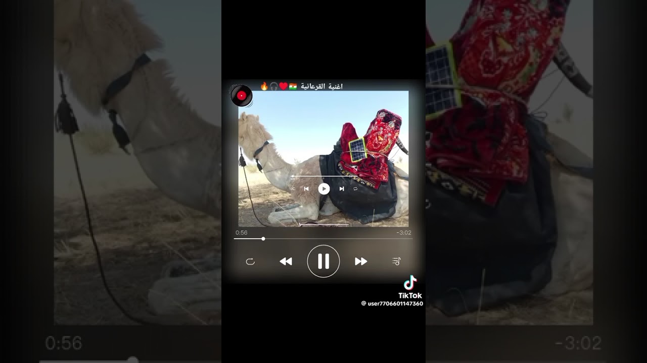 ١ مارس ٢٠٢٦