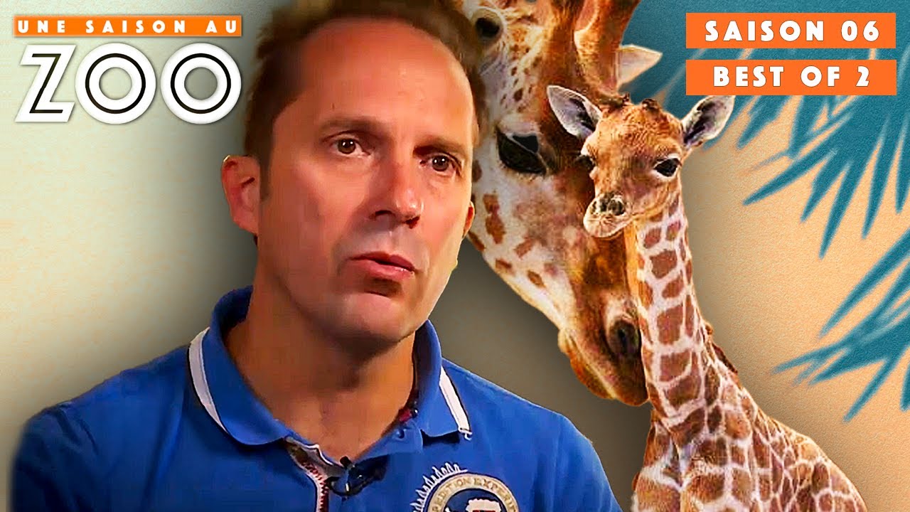 BEST OF n°2 de la Saison 6 ! | S06EP56 | Émission Intégrale | Une saison au zoo