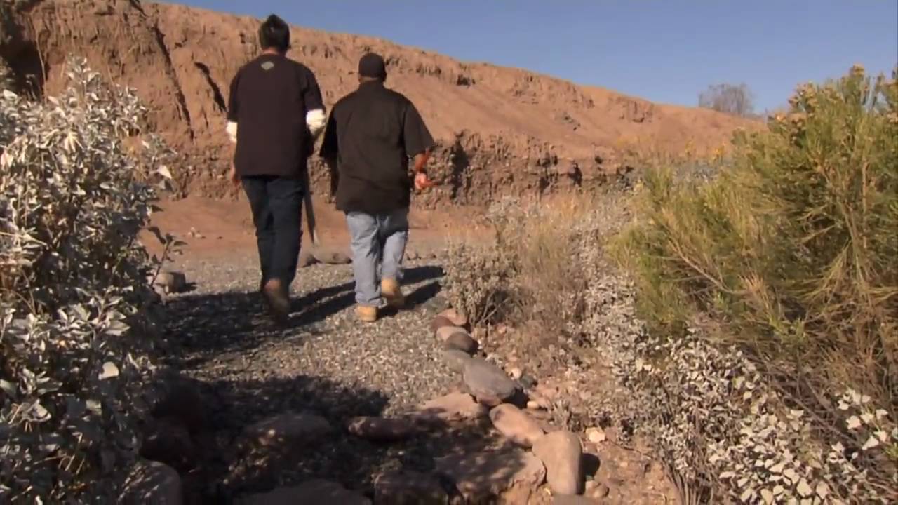 Down2Earth 9.2 - Salt River Pima-Maricopa Indian Community Wetlands Restoration