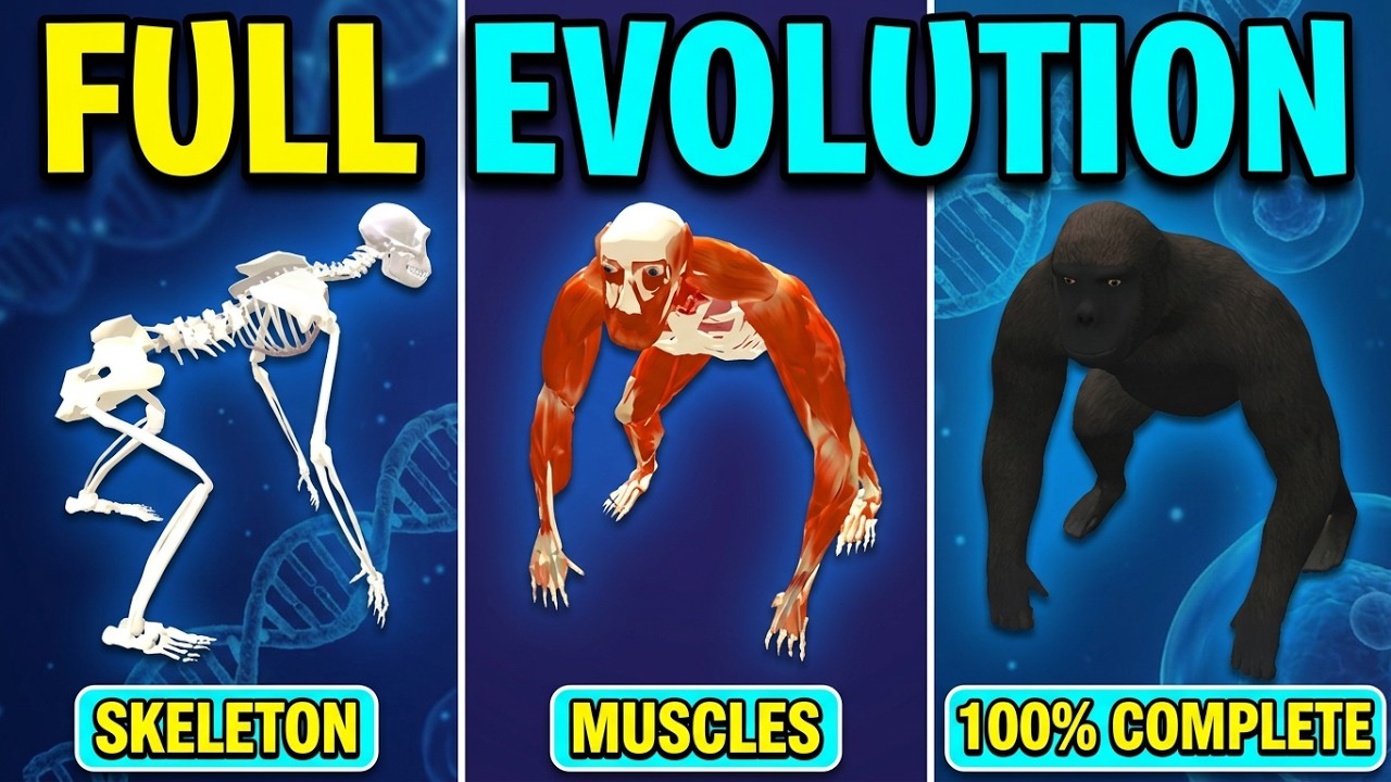 Idle Pet MONKEY Evolution Completed [Fully Evolved]