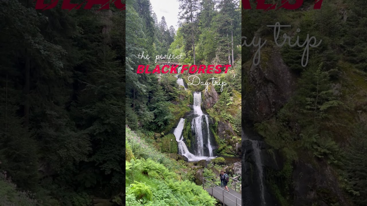 🌊 Triberg Waterfall - Perfect day trip 🚂 #blackforest #germany #schwarzwald #blackforestcake